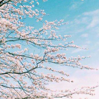 金沙集团186cc成色官方版下载